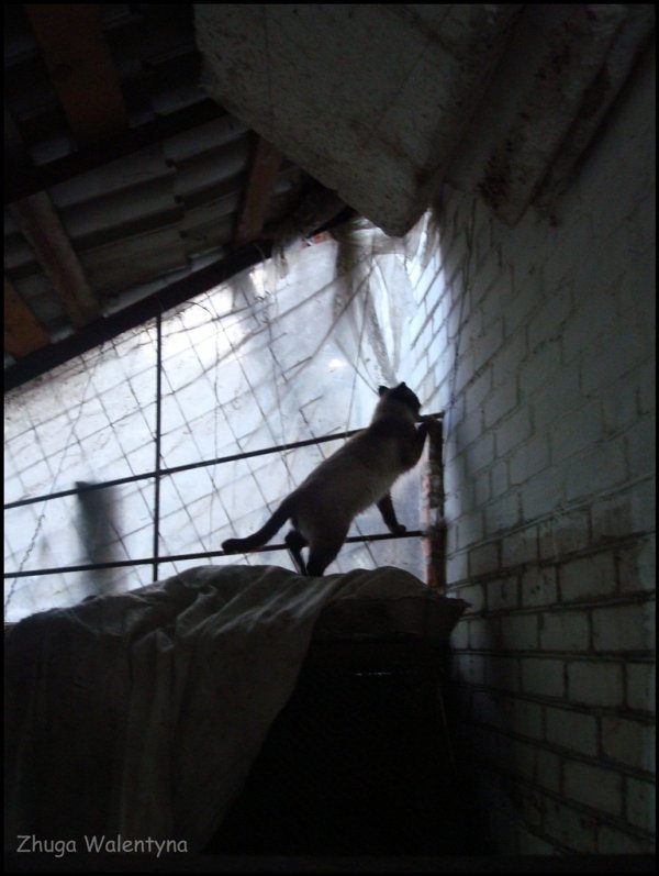 Фотовиставка Валентини Жуги